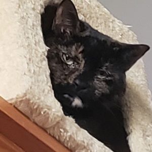 Meet your Posher, Angie